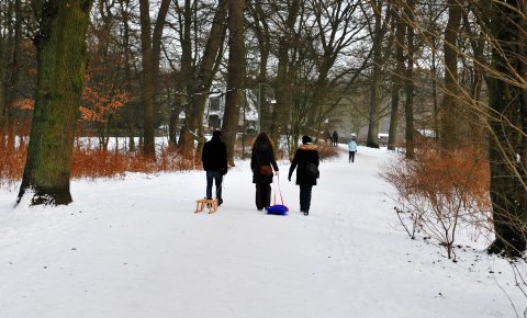 Drei Personen gehen durch den Park, zwei von ihnen ziehen einen Schlitten hinter sich (Foto: privat/JUA).