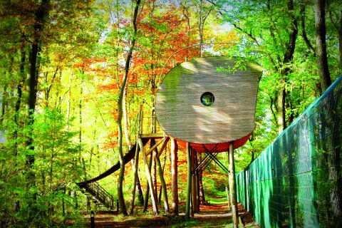 Baumhaus im Wald.