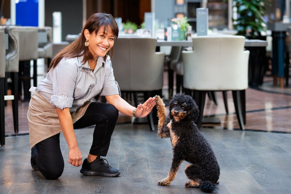 Frau und Hund geben sich ein High-five 