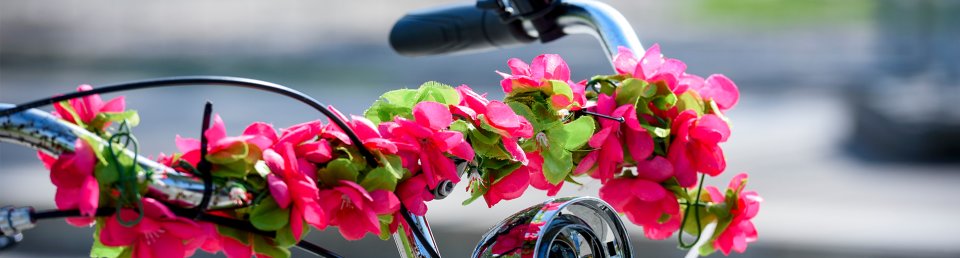 Fahrradlenkrad mit Blumen