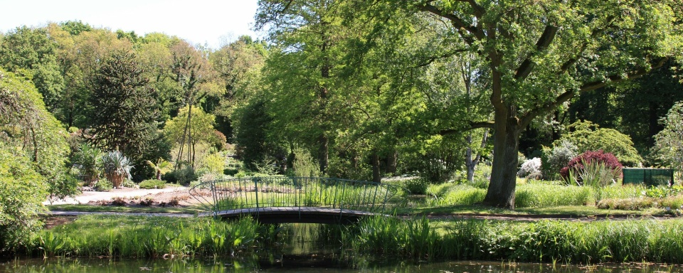 Eine Landschaftsaufnahme des Rhododendronparks.