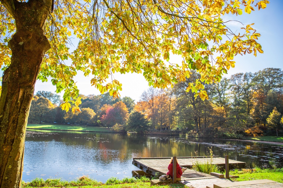 Eine Frau sitzt an einem Steg und schaut auf einen See. Die Blätter der Bäume sind herbstlich gefärbt.