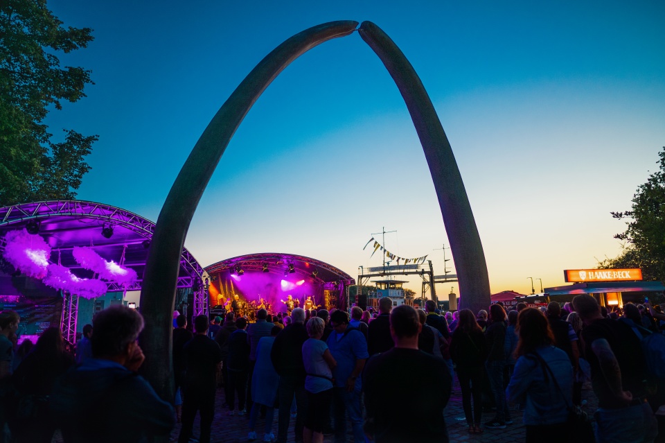 Das Bild zeigt ein Publikum mit vielen Menschen, die sich in den Abendstunden ein Konzert auf einer Bühne anschauen. Außerdem ist die Statue eines großen Wal Kiefers zu sehen. 