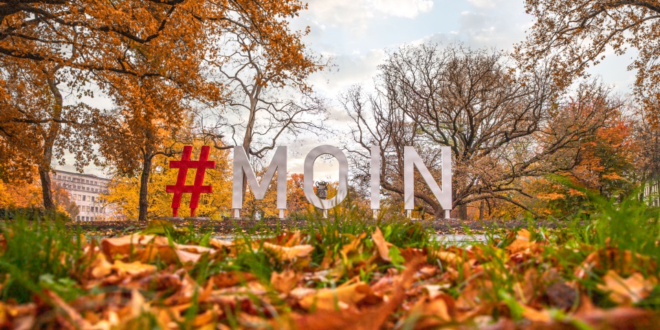 Schriftzug "Moin" in den Wallanlagen im Herbst