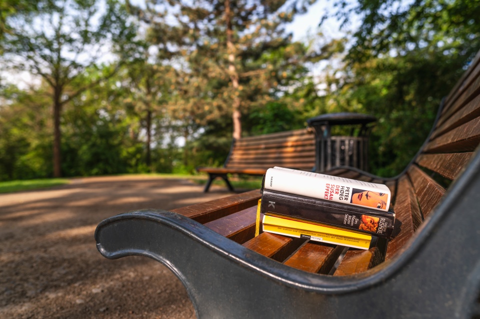 Bücher auf einer Bank in einem Park.