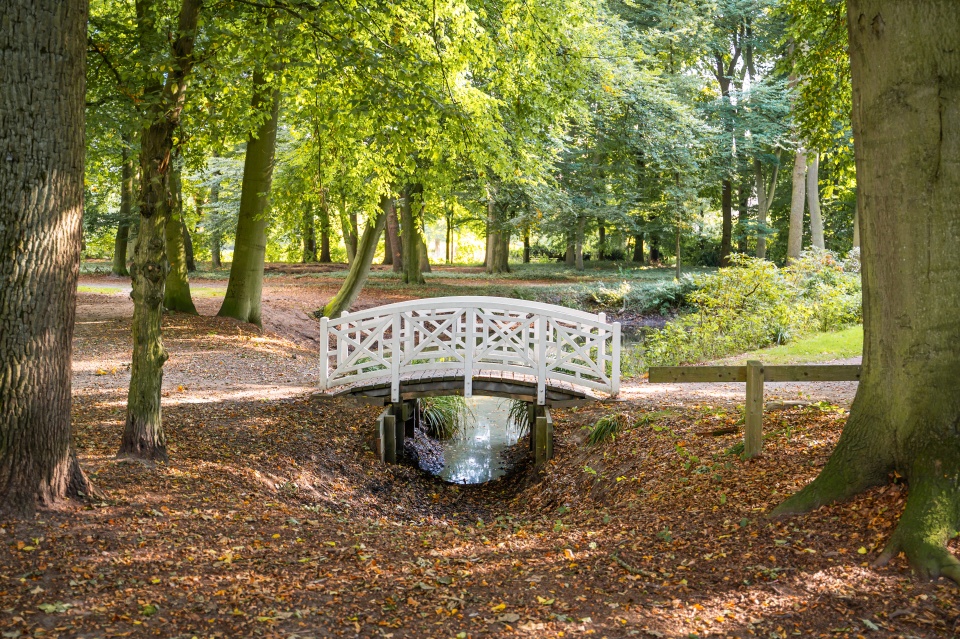 Eine weiße Brücke führt in einem Park über einen kleinen Bach.
