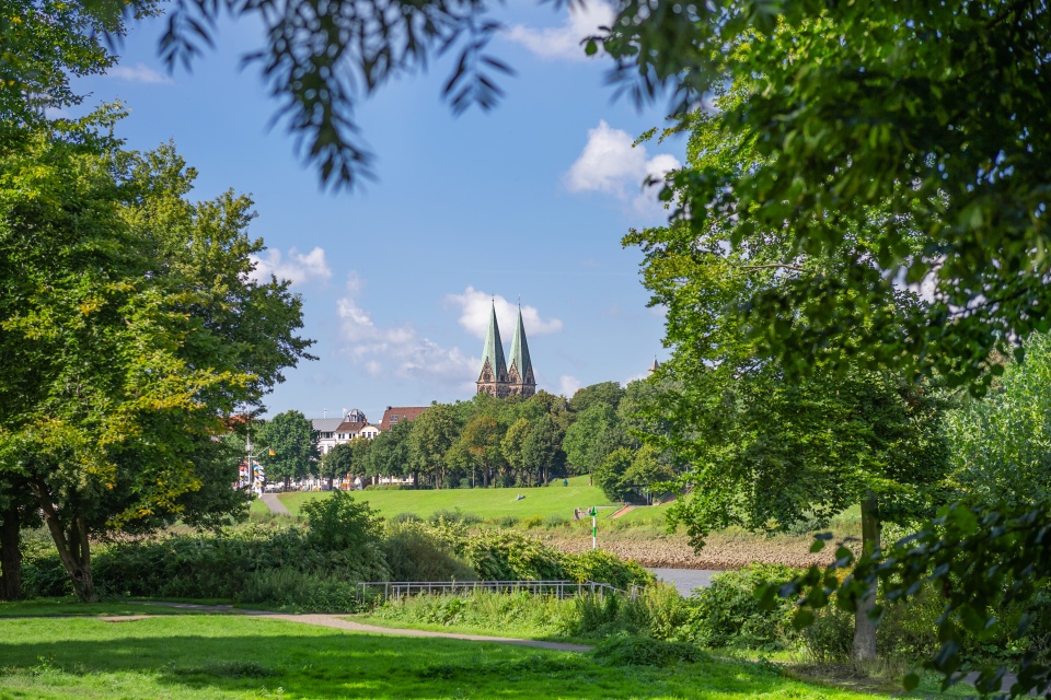 Durch Bäume hindurch sieht man eine grüne Wiese, dahinter ein Fluss und Deich. In der Ferne der Bremer Dom.