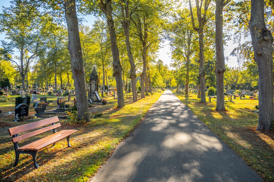 Weg auf dem Waller Friedhof mit Gräbern, Bäumen, Grünflächen und Bänken.