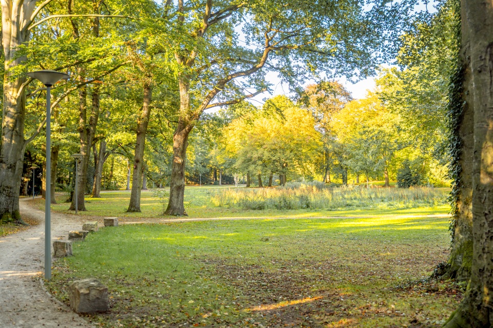 Ein Park in Walle.