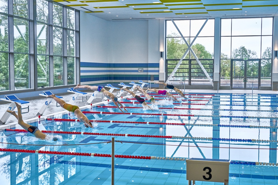 Mehrere Männer springen in Badehosen mit einem Hechtsprung in ein Schwimmbecken. Mehrere Bahnen sind abgetrennt. 