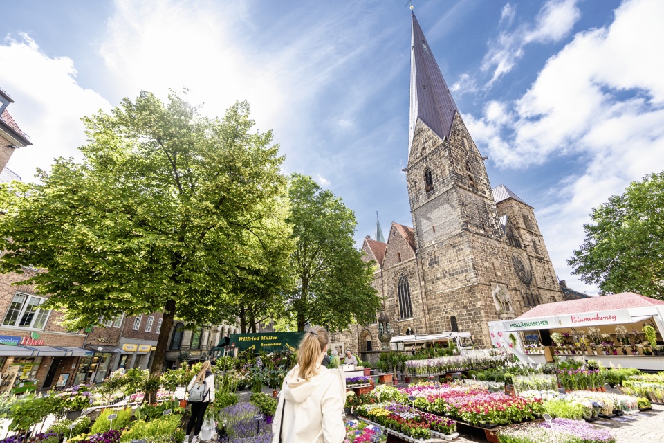 Zahlreiche Blumen und Pflanzen auf einem Wochenmarkt. 