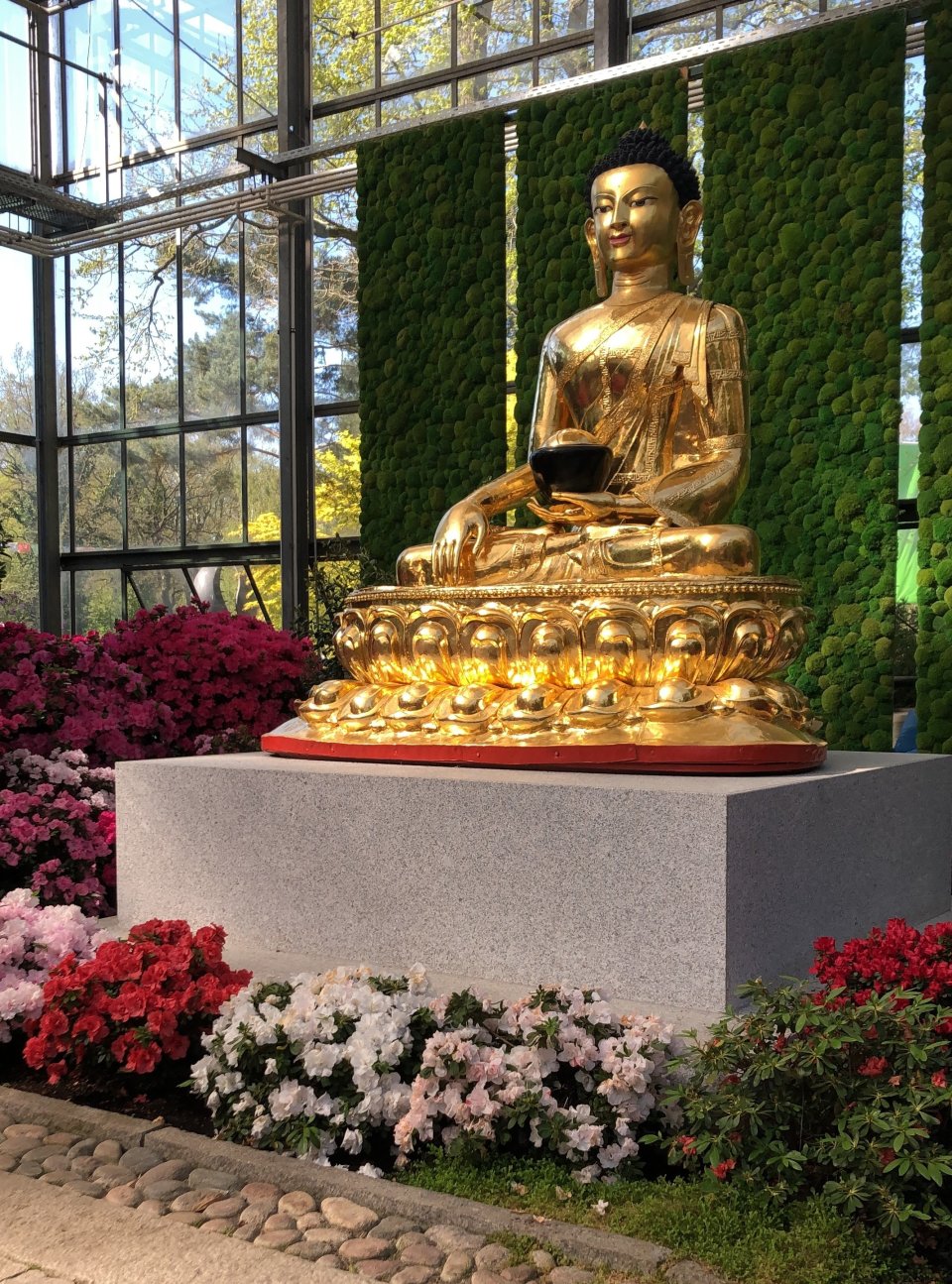 Ein goldener Buddha trohnt auf einem Podest