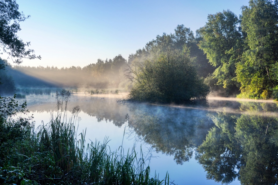 Über einem Fischteich hängen Nebel und Frost