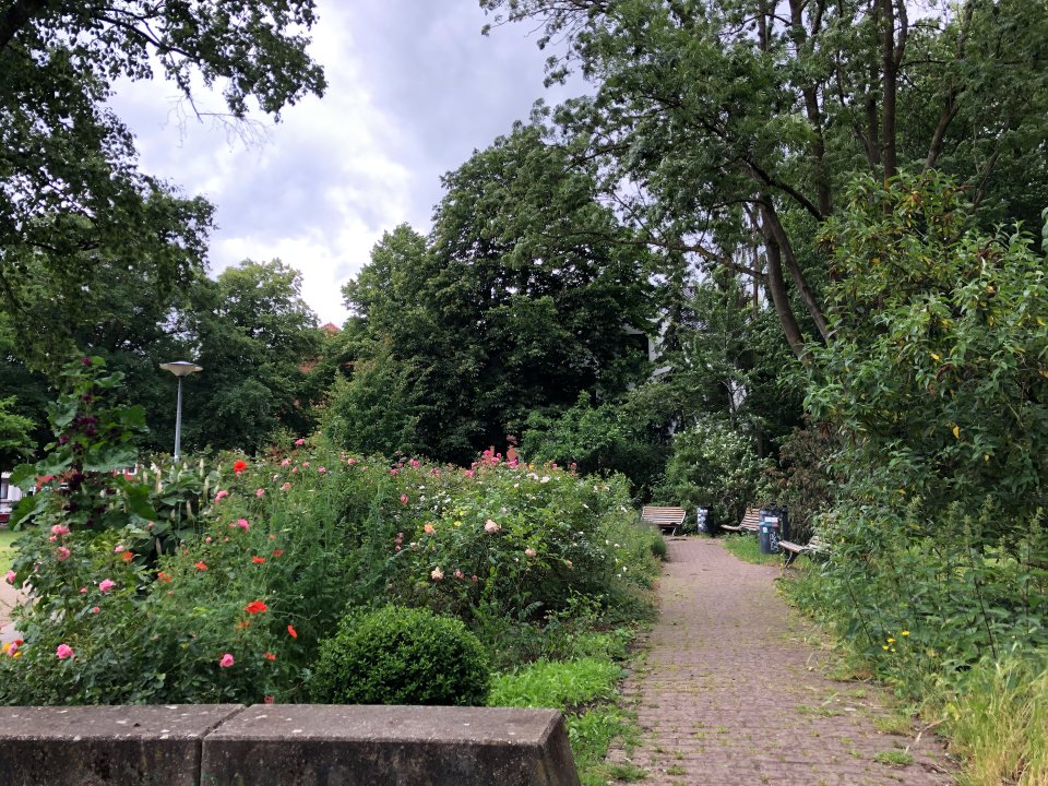 Blick auf zahlreiche blühende Pflanzen, einen Spazierweg und Sitzbänke in den Wallanlagen der Neustadt