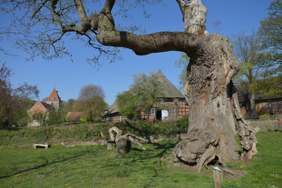 Sorry, there is no description for this photo available