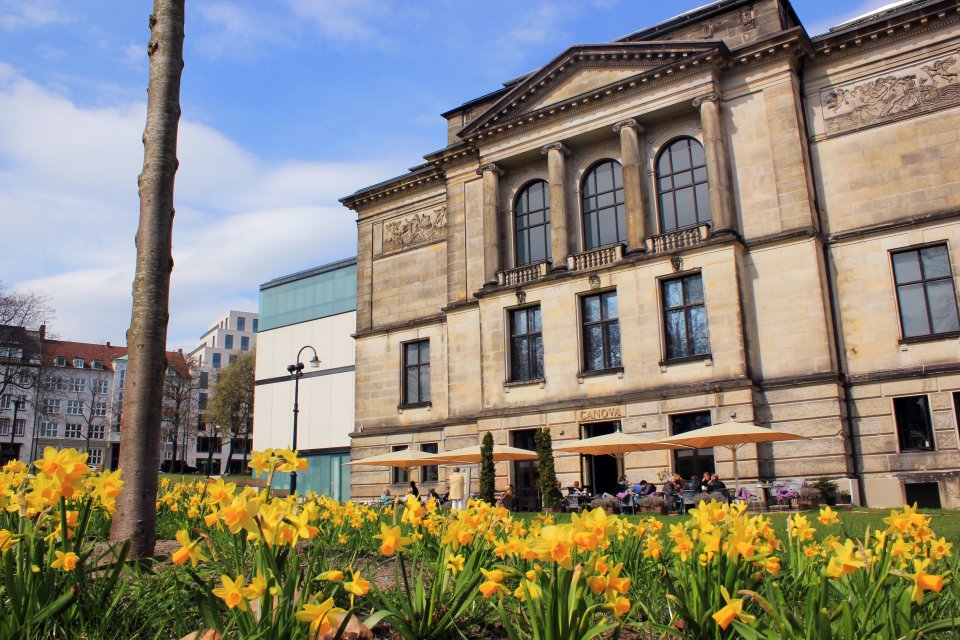 Blick auf die Kunsthalle Bremen im Frühling, im Vordergrund Narzissen 