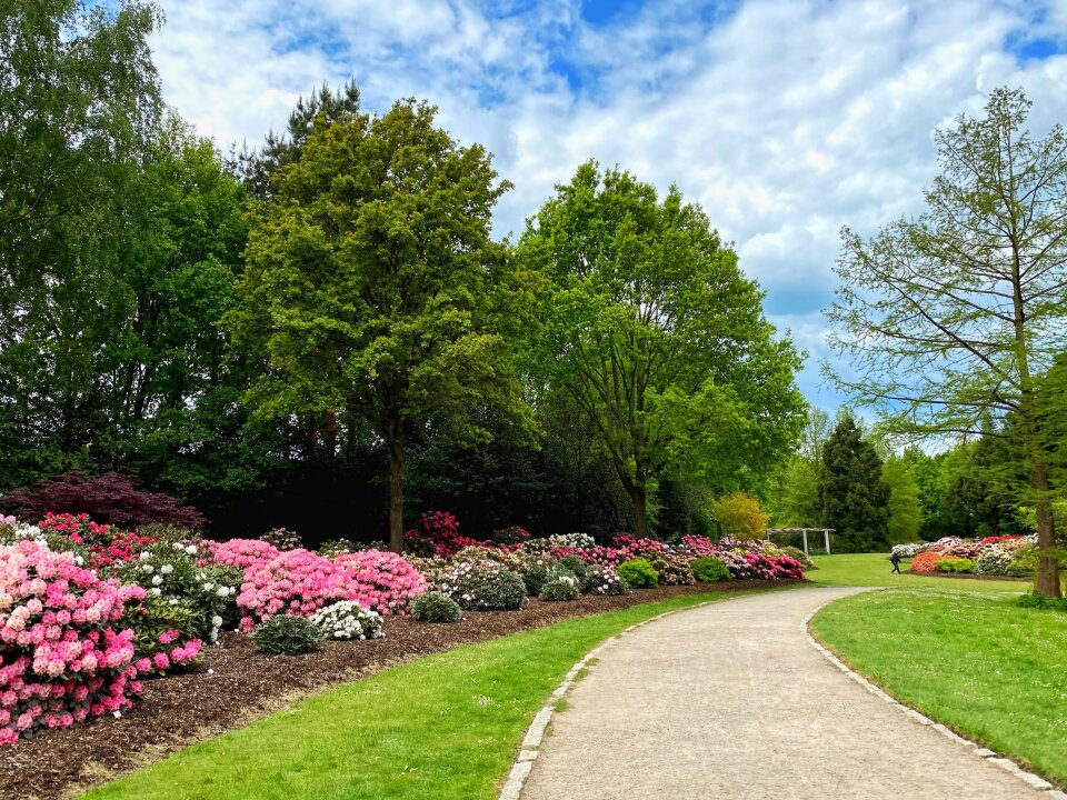 Sorry, there is no description for this photo available