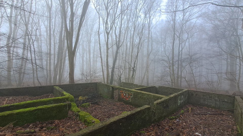 Ruinen, die teilweise mit Graffiti besprüht sind in einem nebenligen Wald voll kahler Bäume