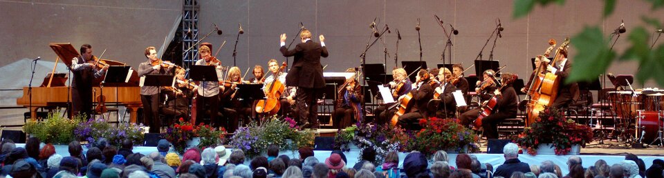 Blick durch Blätter hindurch auf eine Bühne mit einem klassischen Orchester. Davor das Publikum.