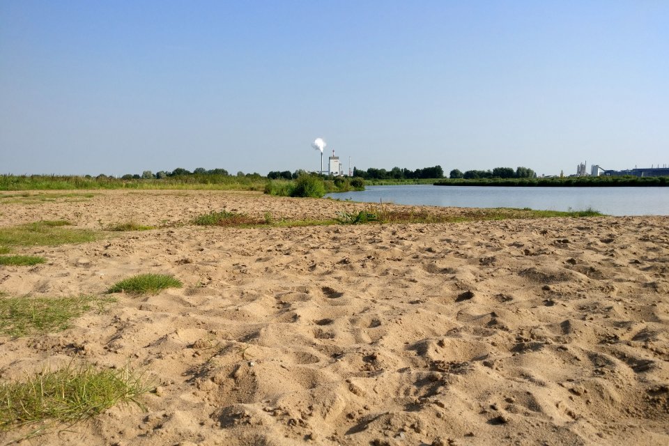 Blick über den Sandstrand der Uferaue Habenhausen in Richtung Hastedt