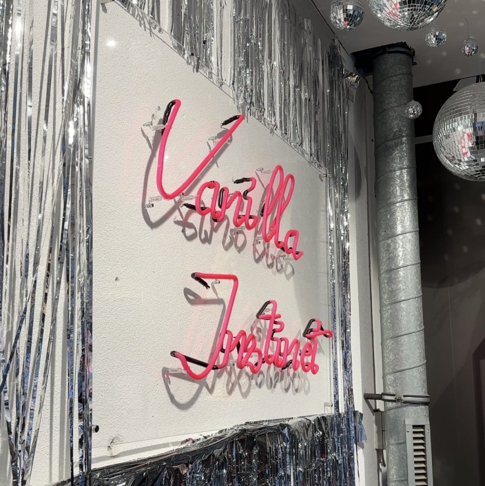 Vanilla Instinct Logo