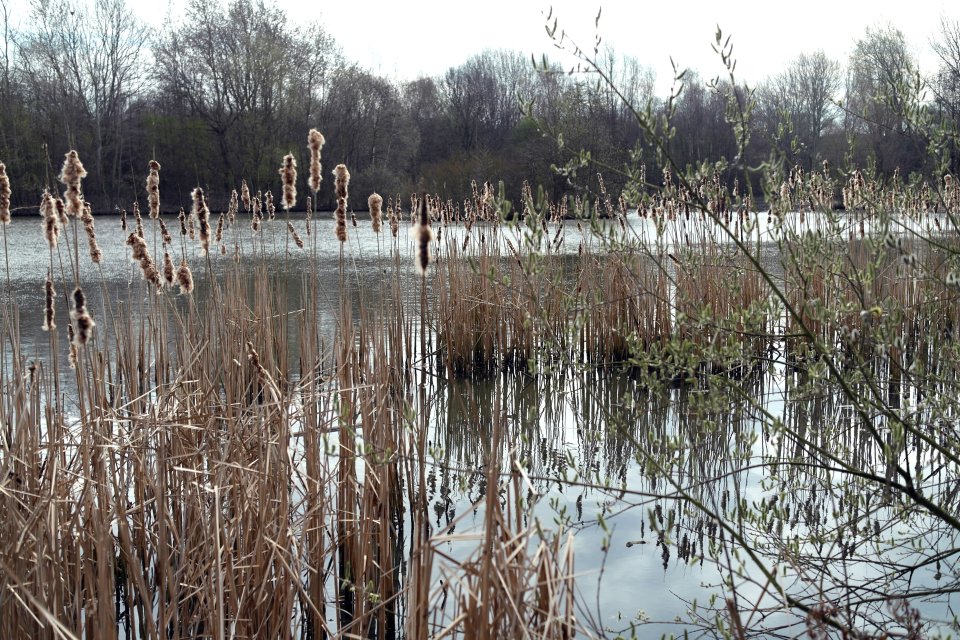 Parks, Grünflächen und grüne Oasen in Bremen